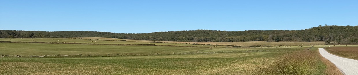 Sorcery_and_Songbirds