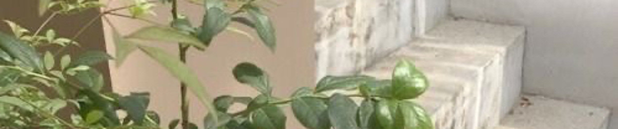 User 127101974