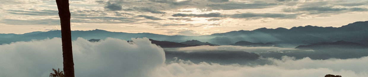 Cual (Frank Schilling)