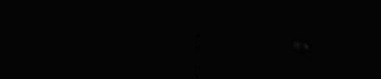SamSibBut