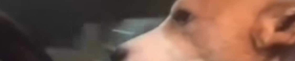 Matt