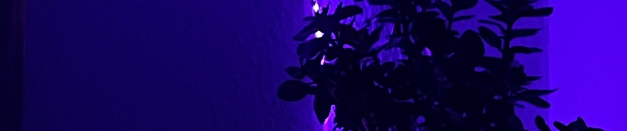 Дарья Кузина