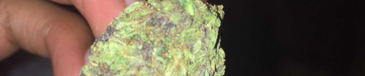J.O.P