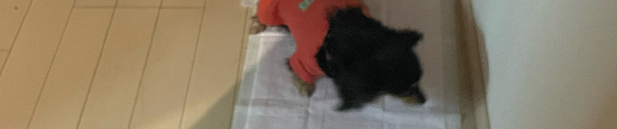 ナキリ