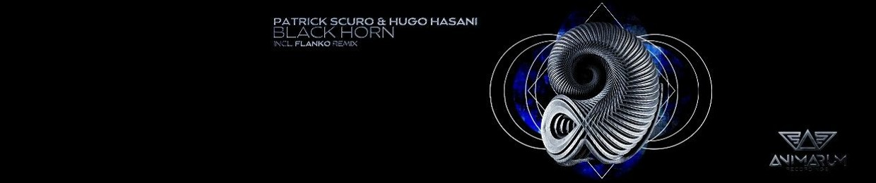 Hugo Hasani