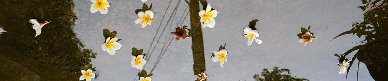 Nguyễn Mạnh Cường