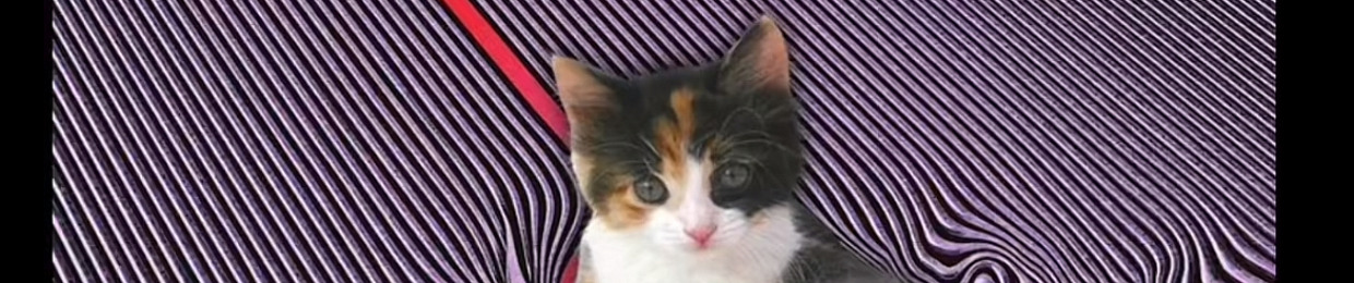 Felixzzt
