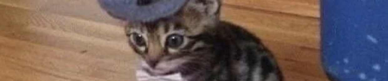 finn