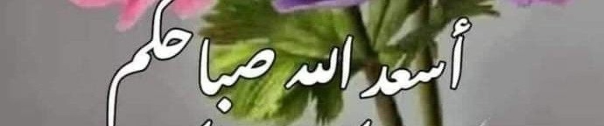 Mr. Shaaban Moustafa