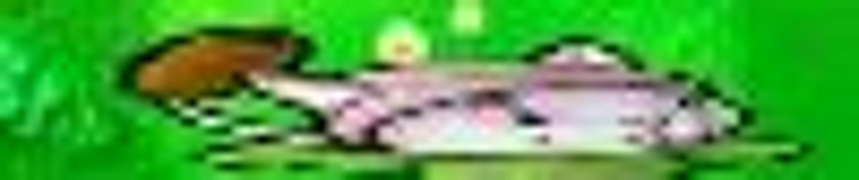 why you can have a name with 50 letters, like bro?