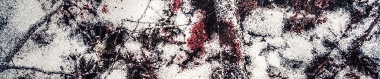 𝖂𝖎 𐕣 𝖈𝖍 𝕭𝖔𝖎