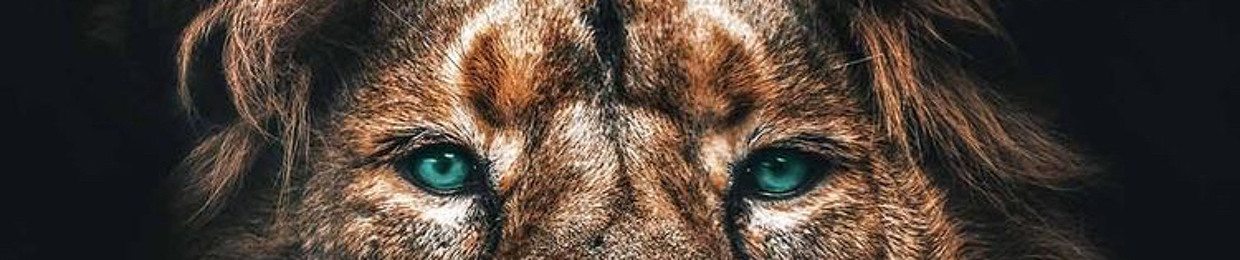 Adawo Simba