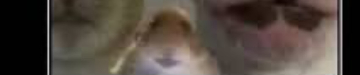 Dogsarefun345