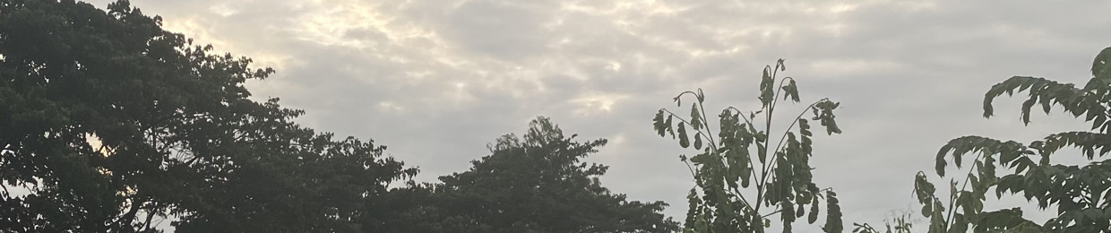 Nguyễn Phú Lộc