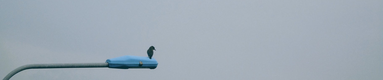 Nguyễn Tiến Dũng‏