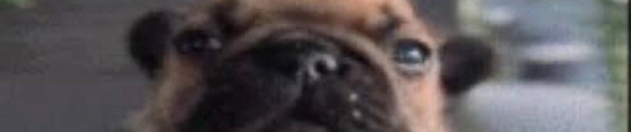maxxxx