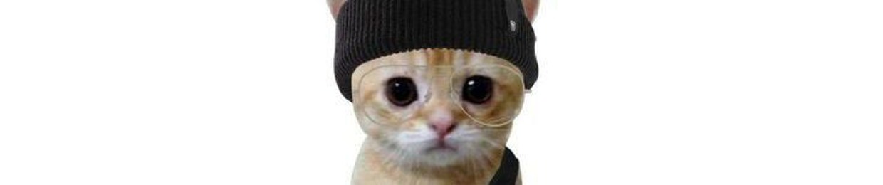 은유핑핑이