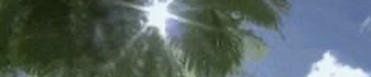 ykm3