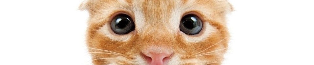 ੭🩷﹒♰﹑﹕𝓘saac