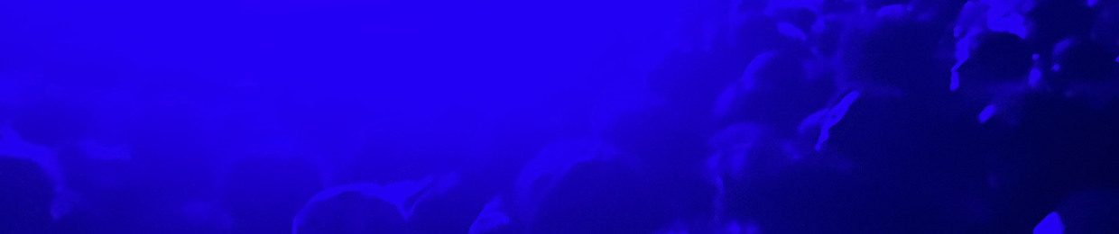 xxnotslime