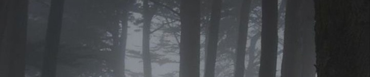 Влад Кунякин