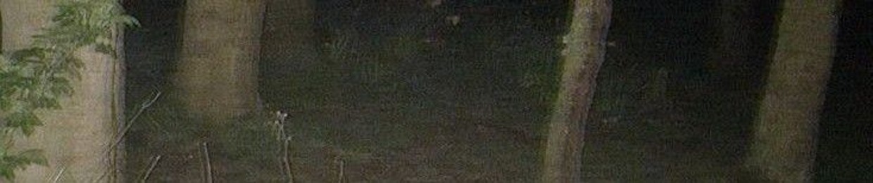 𝘦𝘱𝘪𝘱𝘢𝘵𝘩