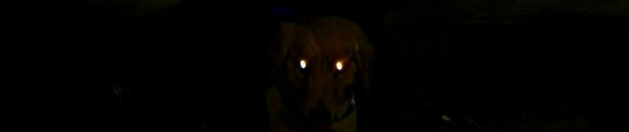 dark/دارك ♪