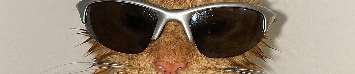 SpiralCat