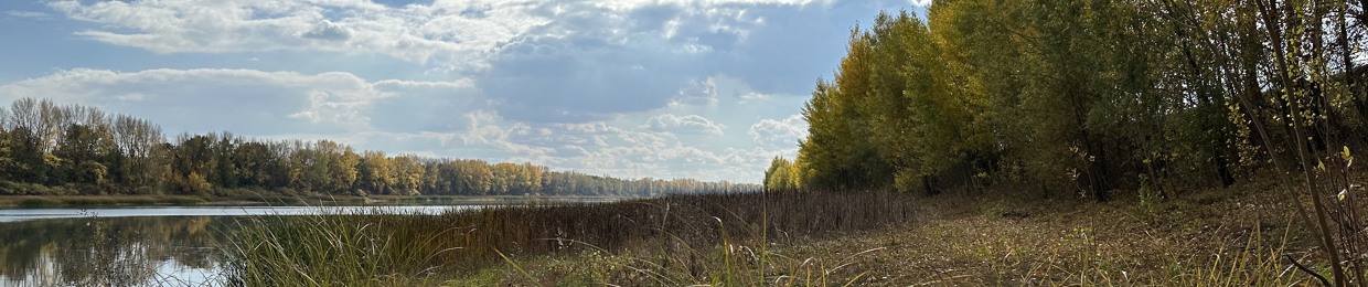 Эго нет