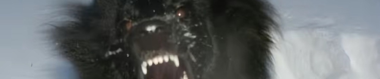 ❂𝓼𝓪𝓵 𝓯𝓲𝓼𝓱𝓮𝓻❂