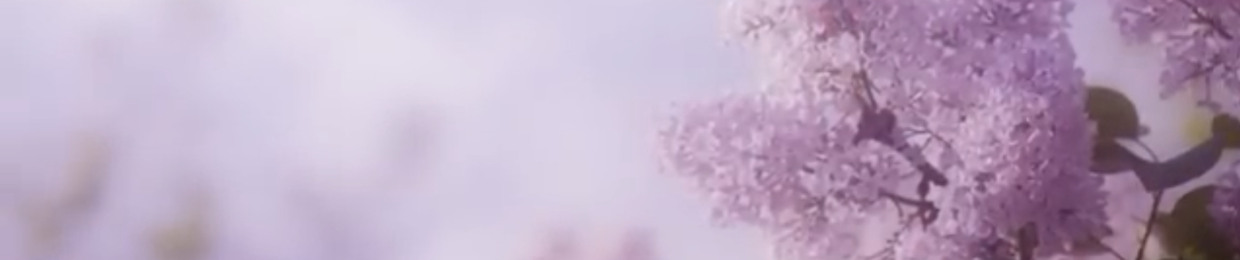 𝔸𝕙𝕞𝕒𝕪𝕒 ♡︎