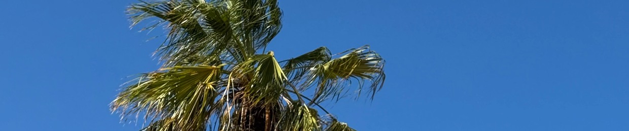 geo.char/This N That