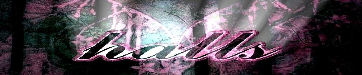 H411S