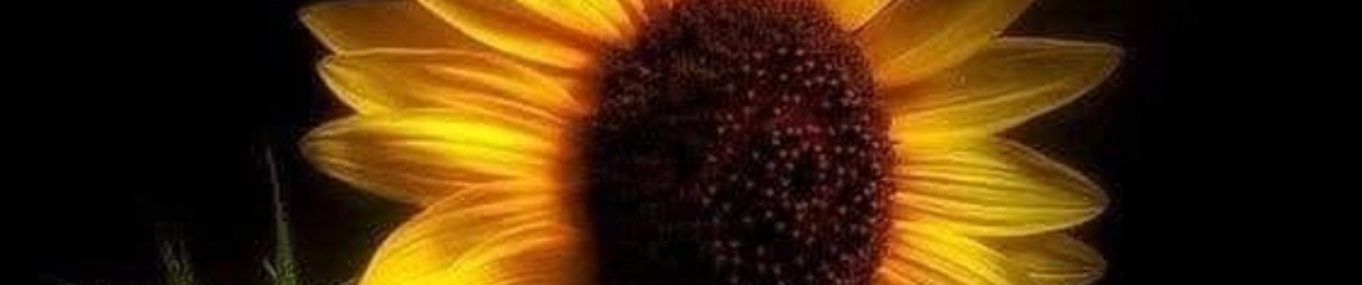 VQ226167(💛)