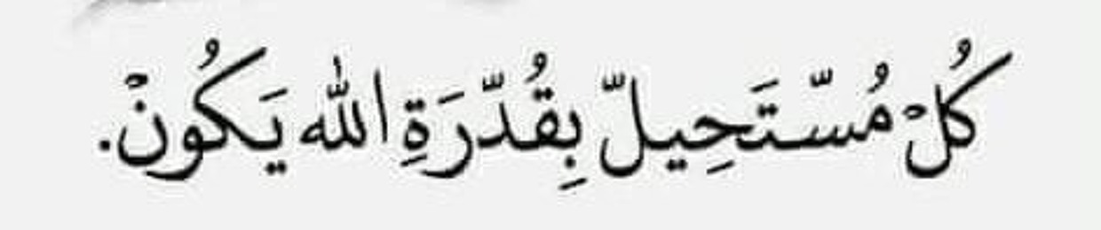 Mohamad Abo Elmagd