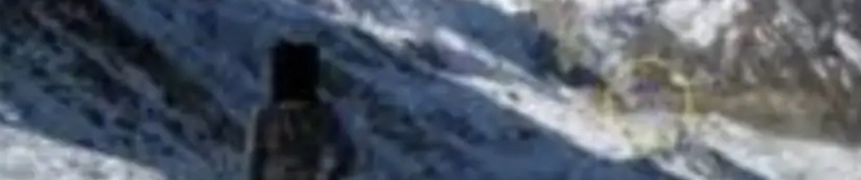 Maxipoo ❤️❤️