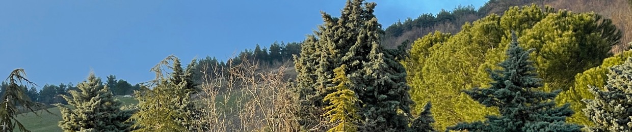 Mason Cutler / descending into gold