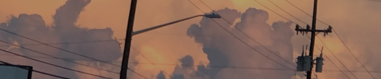 TORO