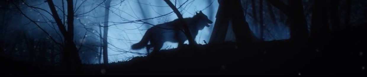 LONEWOLFPRIE *ARCHIVE 4*