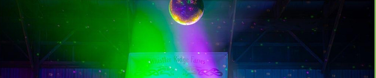 Michael D. Vincitore