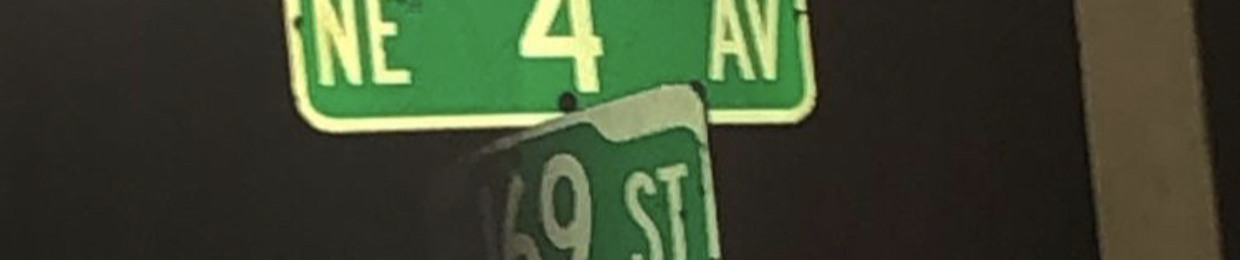 LB4L.Turt