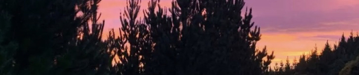 𝐉𝐨𝐬𝐮𝐚