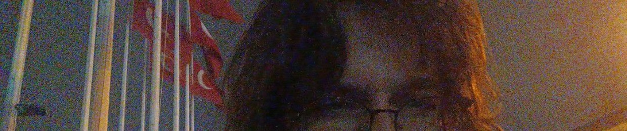 Mesaseventeen