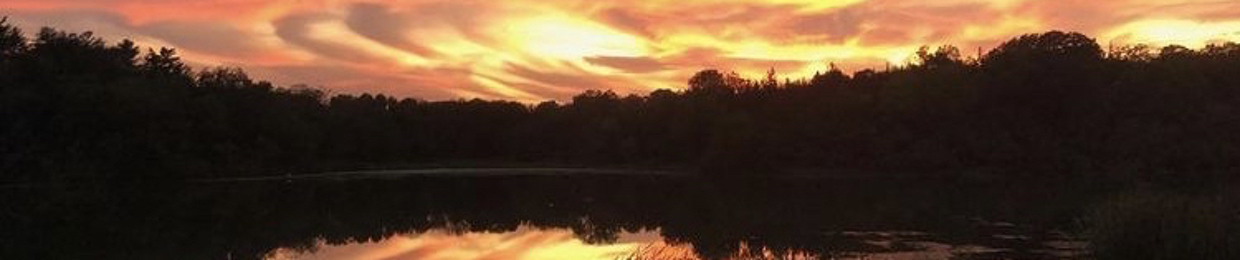 Liquid Ice Entertainment The Renn Reed Official