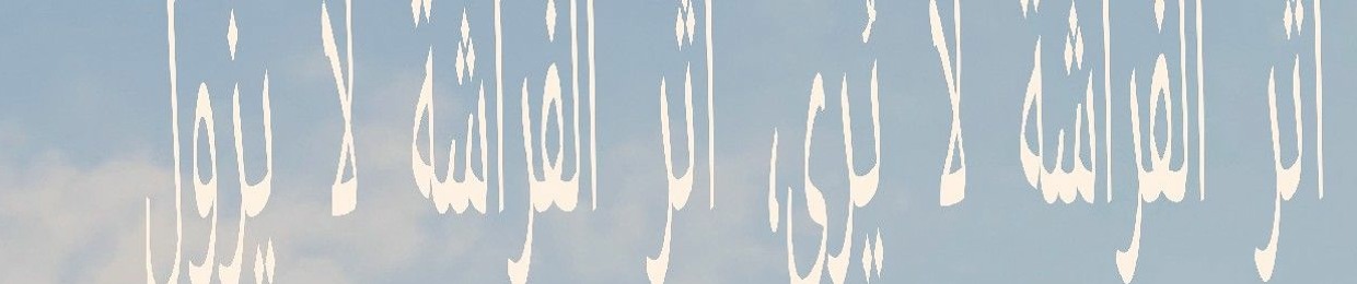 نجلاء 🤍