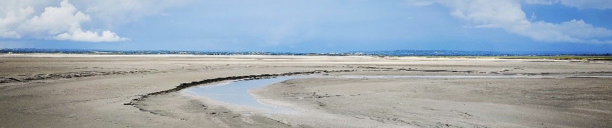 𝖑𝖔𝖌𝖆𝖓𝖐𝖔𝖋𝖆𝖑𝖎𝖓𝖍𝖔.