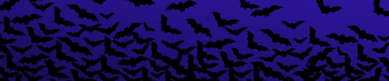 Kah 🦇