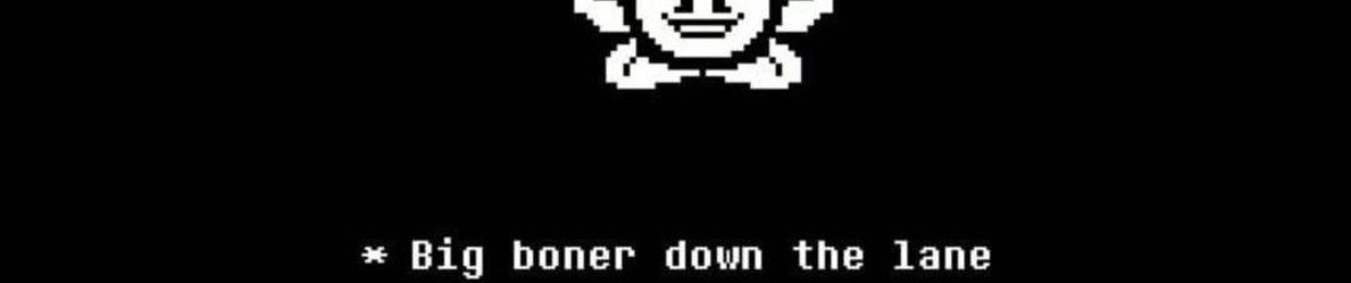 the sans
