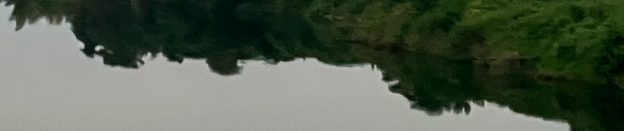 夏伊