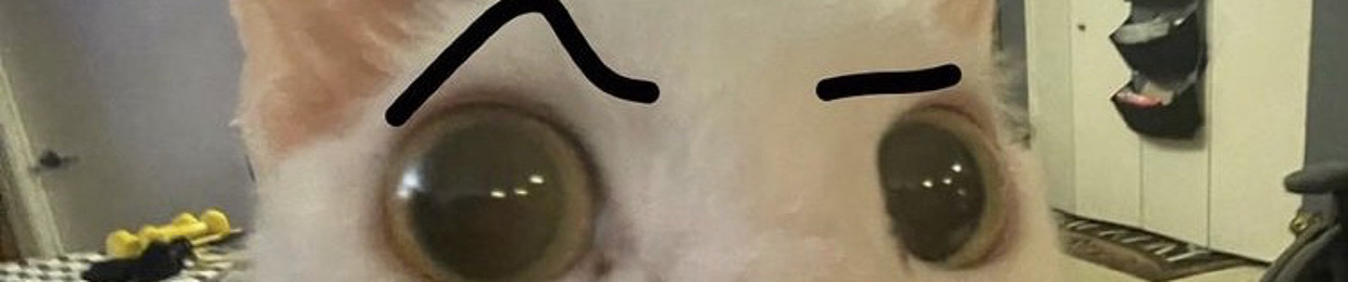 EL GATITO